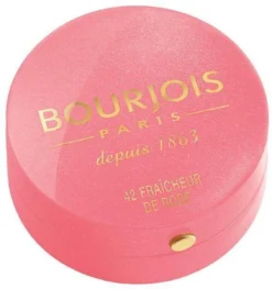 Bourjois Little Rount Pot Blush 095 Rose De Jaspe -Poeder and Foundation Winkel 1129x1200 1