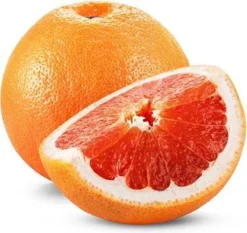 Garnier SkinActive BB Cream Classic Medium 5-in-1 Verzorging - 50 Ml -Poeder and Foundation Winkel 1200x1133 2