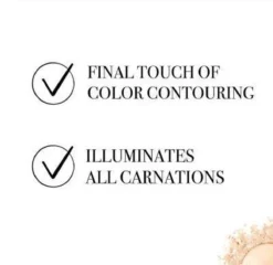 Bourjois Le Petit Strober Highlighter - 00 Universal Glow -Poeder and Foundation Winkel 1200x1164 12