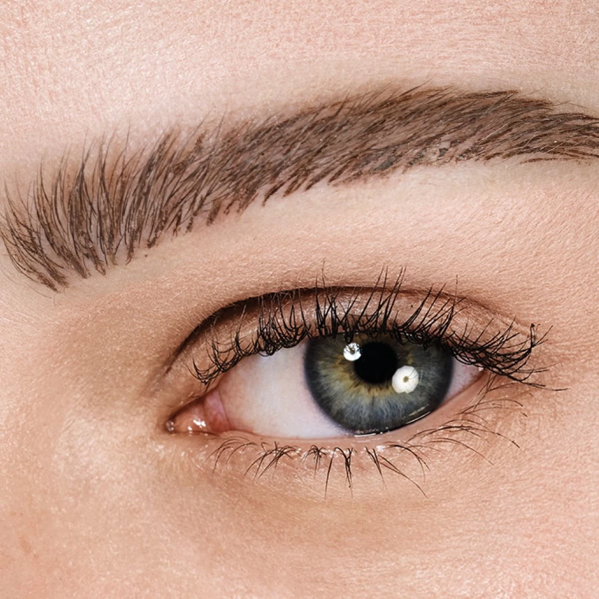 Maybelline TattooBrow 1D Wenkbrauwpen - 120 Medium 5 Maybelline TattooBrow 1D Wenkbrauwpen - 120 Medium - Afbeelding 5