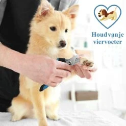 Merkloos Nagelknippper Hond Nagelknipper Kat + E-BOOK - Nagelschaar Hond - Nagelschaar Kat - Honden Nagelknipper - Nagelvijl Hond - Nageltang Hond - Nagelknipper Hond Veiligheidsstop - Nagel Hond - Bwa Commerce 7 Merkloos Nagelknippper Hond Nagelknipper Kat + E-BOOK - Nagelschaar Hond - Nagelschaar Kat - Honden Nagelknipper - Nagelvijl Hond - Nageltang Hond - Nagelknipper Hond Veiligheidsstop - Nagel Hond - Bwa Commerce -Poeder and Foundation Winkel 1200x1200 203