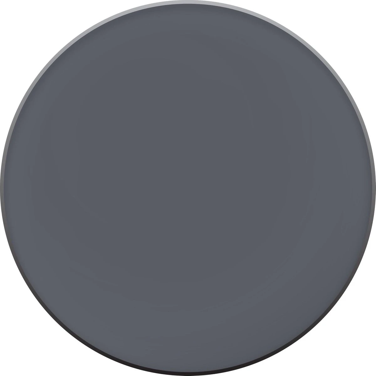 L'Oréal Paris Infallible Eye Paint - 203 Iconic Silver - Oogschaduw 8 L'Oréal Paris Infallible Eye Paint - 203 Iconic Silver - Oogschaduw - Afbeelding 8