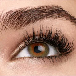 Maybelline Total Temptation Mascara - Zwart 23 Maybelline Total Temptation Mascara - Zwart -Poeder and Foundation Winkel 1200x1200 755