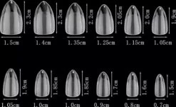 Royala 104 - Rounded Half Frosted - Full Cover - Nageltips - Nepnagels - Plaknagels - In Assortimentsbox - 120 Stuks 12 Maten - Voor Gellak Acrylnagellak En PolyGel Nagels - Royala Frosted Tips Line -Poeder and Foundation Winkel 1200x736