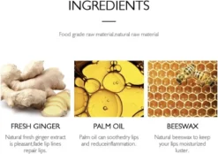 Natuurlijke Lip Plumper|Gember Extract & Vitamine E - Vollere Lippen - Lip Care - Lip Filler - Full Lips - Volume Van Je Lippen- Herstellende Lippen- Lipgloss Intense- Lip Maximizer - Mint Extract & Vitamine E- Selfcare - Extreme Lipgloss -Poeder and Foundation Winkel 1200x847 4