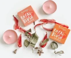 Rimmel London Rimmel - Royal Blush Cream Blush 4 G 002 Majestic Pink - -Poeder and Foundation Winkel 1200x985 2