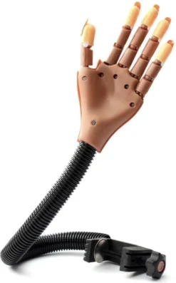 Merkloos Nailtrainer – Nail Practice Hand – Oefenhand Nagelstyliste (incl. 100 Oefen Nagels!) -Poeder and Foundation Winkel 746x1200