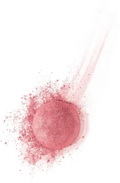 Bourjois Little Rount Pot Blush 095 Rose De Jaspe -Poeder and Foundation Winkel 789x1200